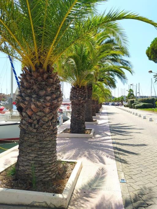 Joli Appartement Avec Grande Et Belle Terrasse, Au Pied De La Plage Du Grazel! グリュイッサン エクステリア 写真